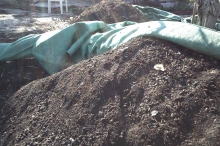 Two composts prepared in Aegina.