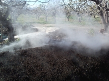 Compost prepared by pistachio wastes, manures and straw-AgroStrat